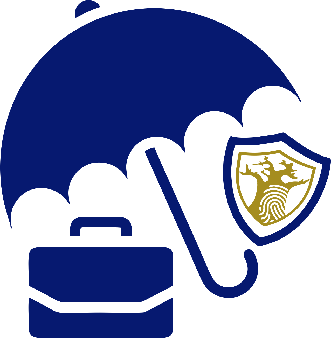 comprehensive-business-insurance-natfin-icon